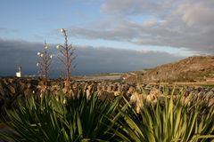 Abendstimmung im Norden Teneriffas