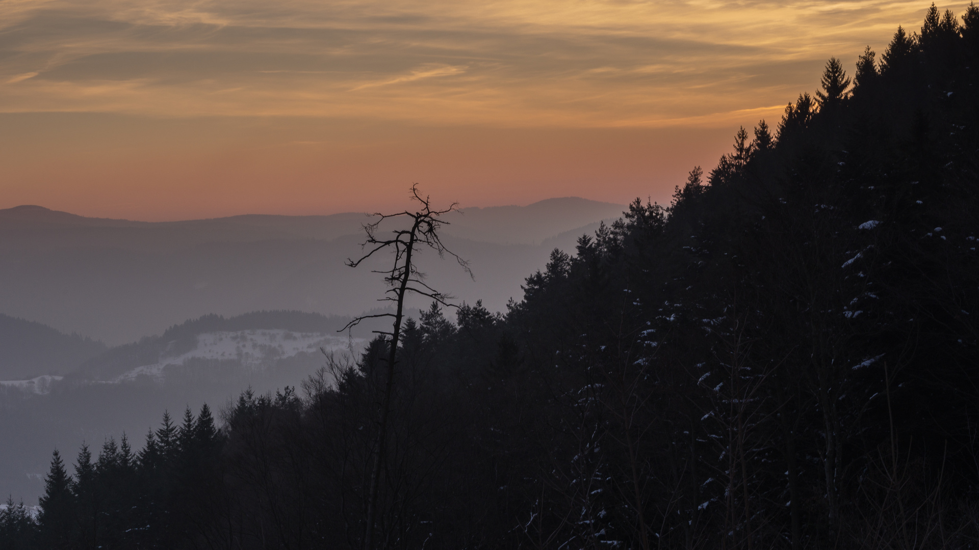 Abendstimmung im Nordschwarzwald