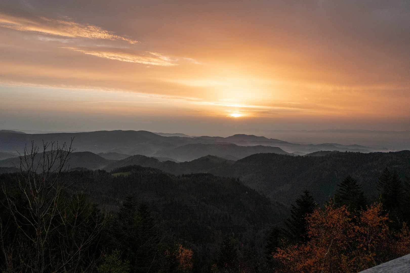 Abendstimmung im Nordschwarzwald