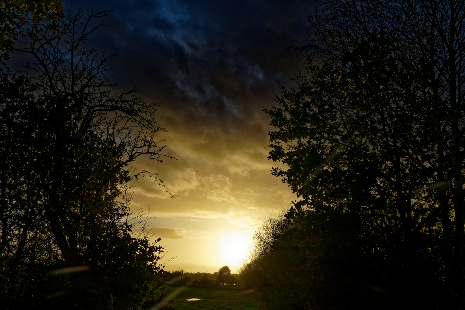 Abendstimmung im November mit tiefstehender Sonne 1