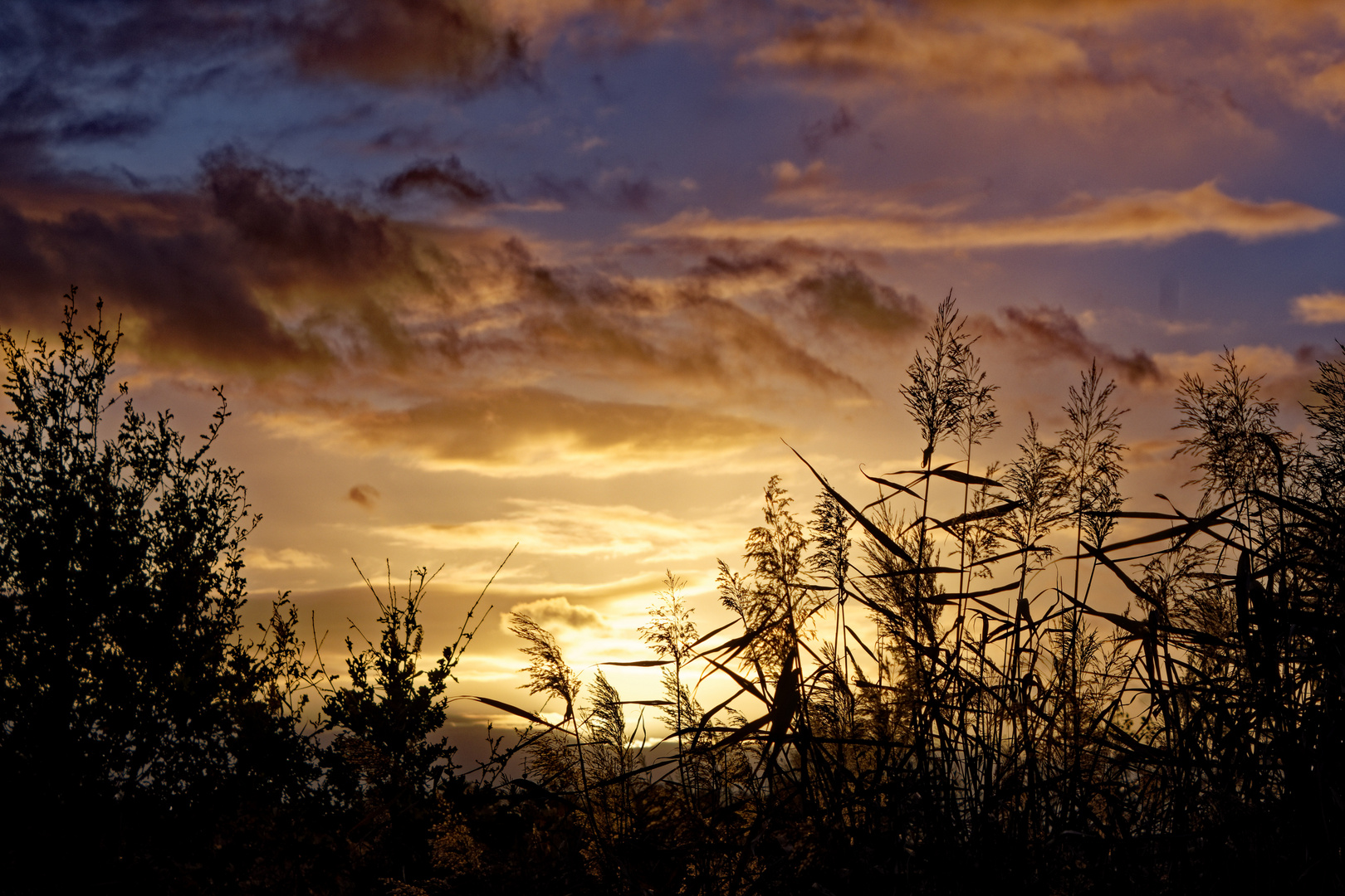 Abendstimmung im November mit tiefstehender Sonne an der Alten Aller bei Langwedel-Etelsen