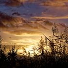 Abendstimmung im November mit tiefstehender Sonne an der Alten Aller bei Langwedel-Etelsen