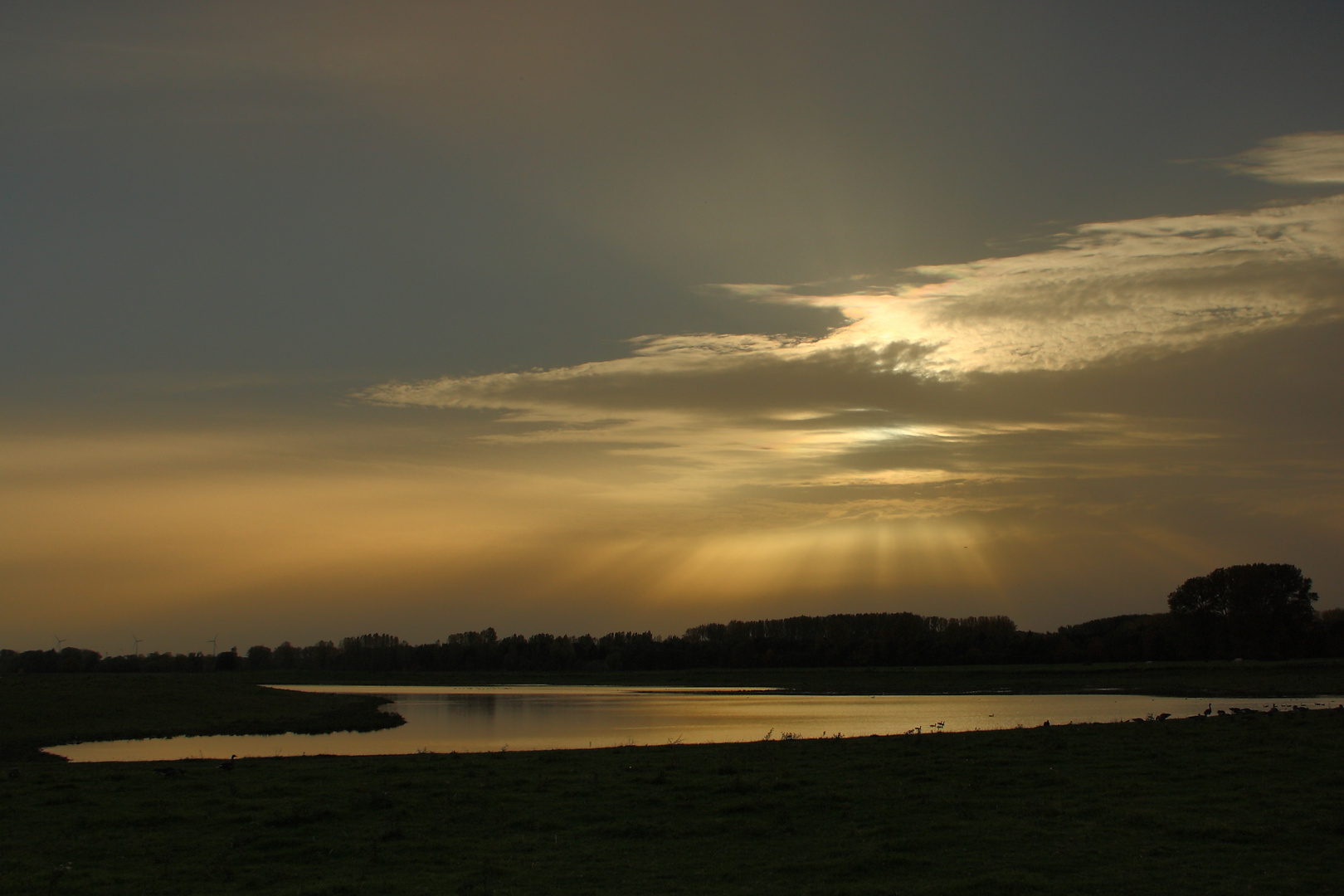 Abendstimmung im NSG "Bislicher Insel"