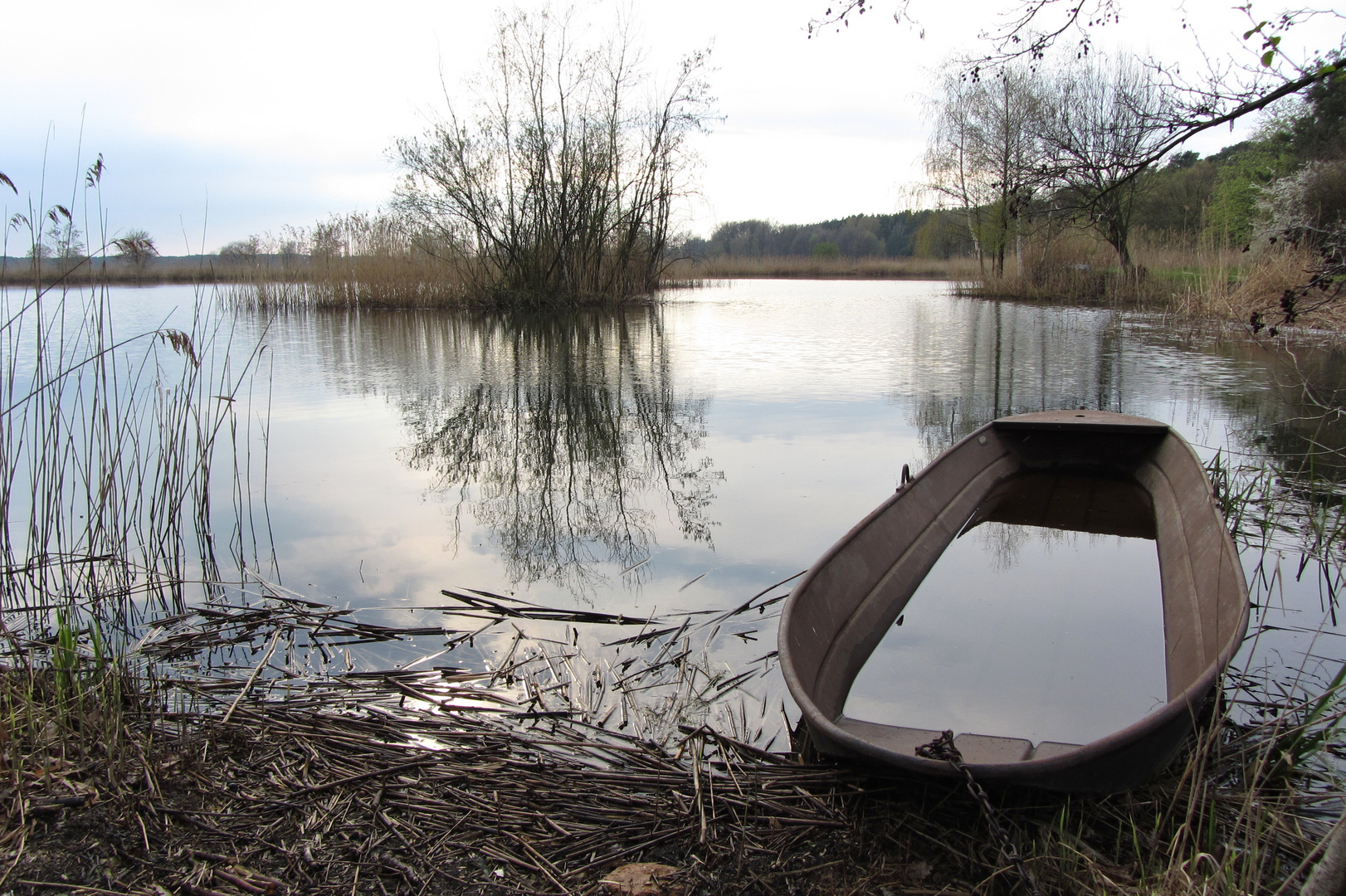 Abendstimmung im NSG Teichgebiet Niederspree bei Rietschen