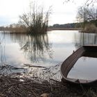 Abendstimmung im NSG Teichgebiet Niederspree bei Rietschen