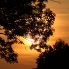 Abendstimmung im Nympenburger Schlosspark