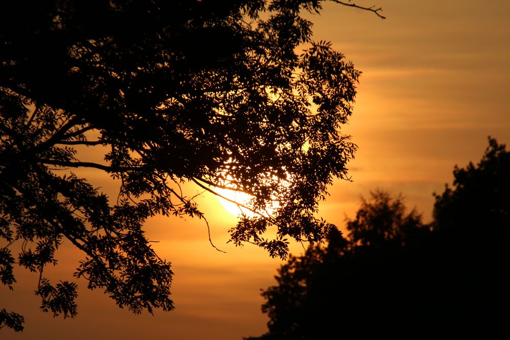 Abendstimmung im Nympenburger Schlosspark