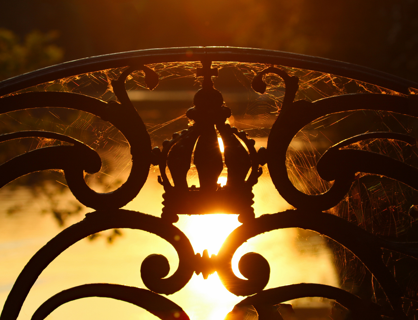 Abendstimmung im Nymphenburger Schlosspark