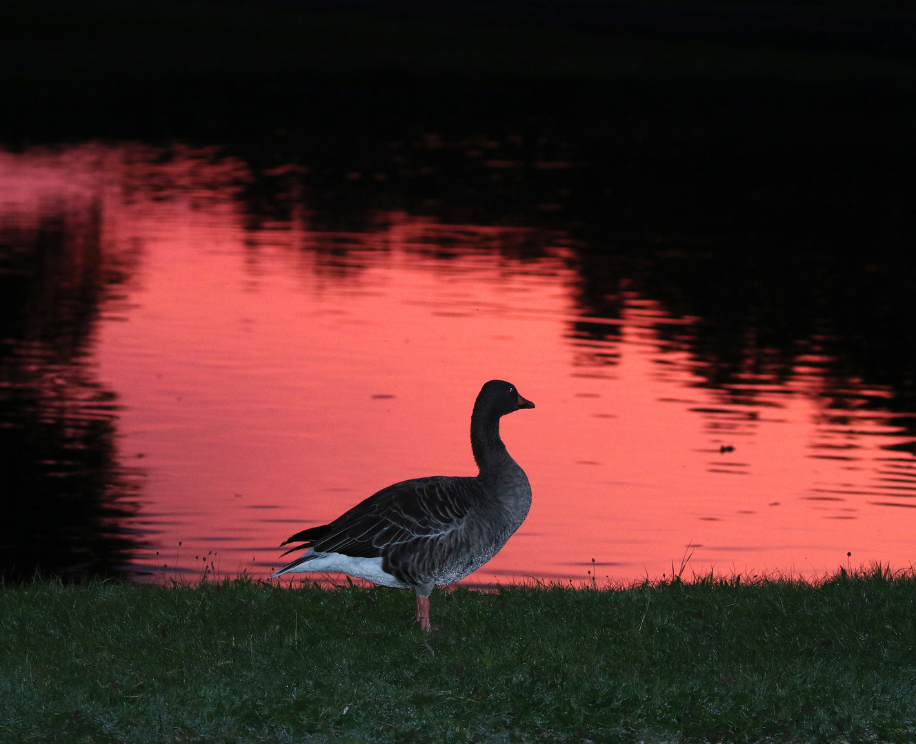 Abendstimmung im Nymphenburger Schlosspark