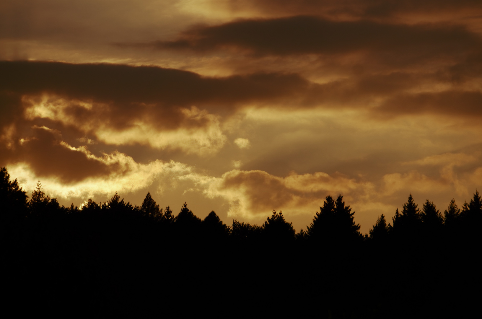 Abendstimmung im Odenwald.