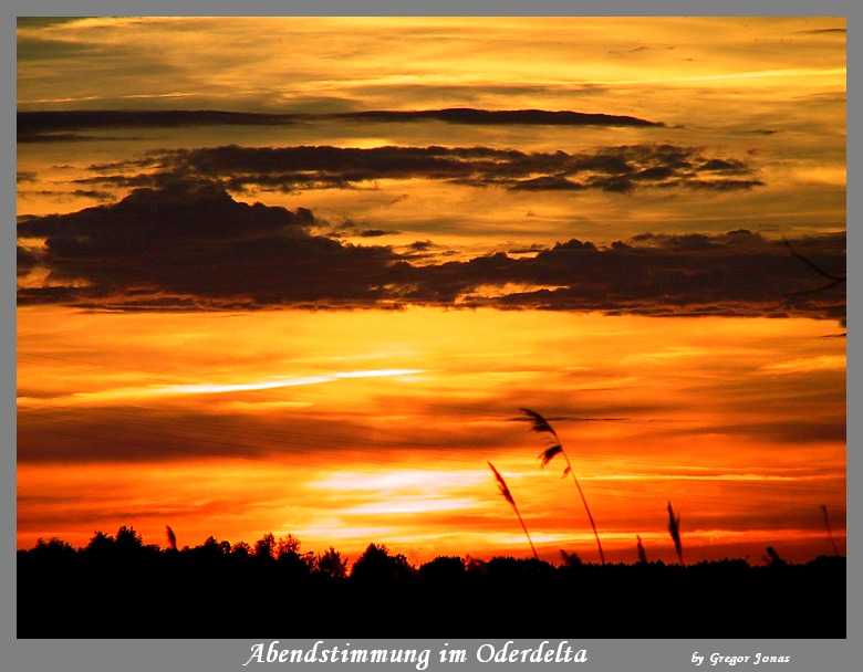 Abendstimmung im Oderdelta