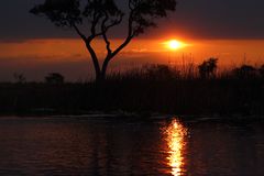 Abendstimmung im Okavango