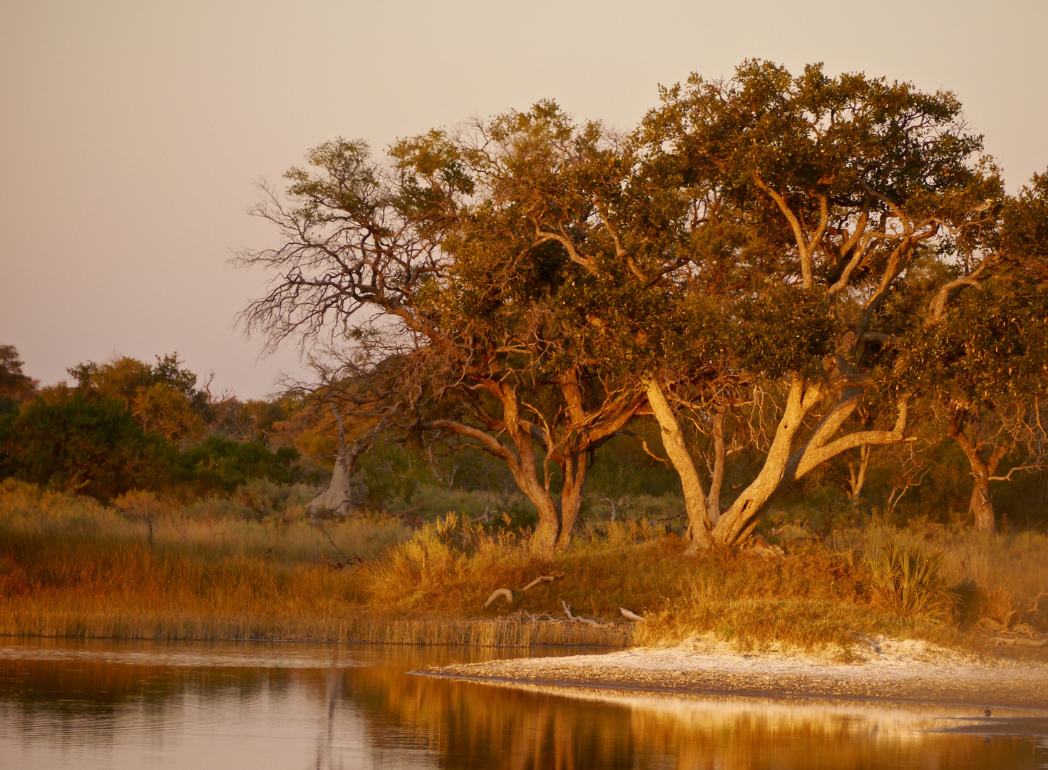 Abendstimmung im Okavango Becken