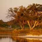 Abendstimmung im Okavango Becken