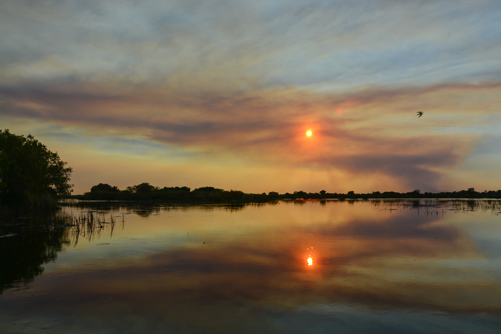 Abendstimmung im Okavango Delta