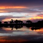 Abendstimmung im Okavango-Delta, Botswana