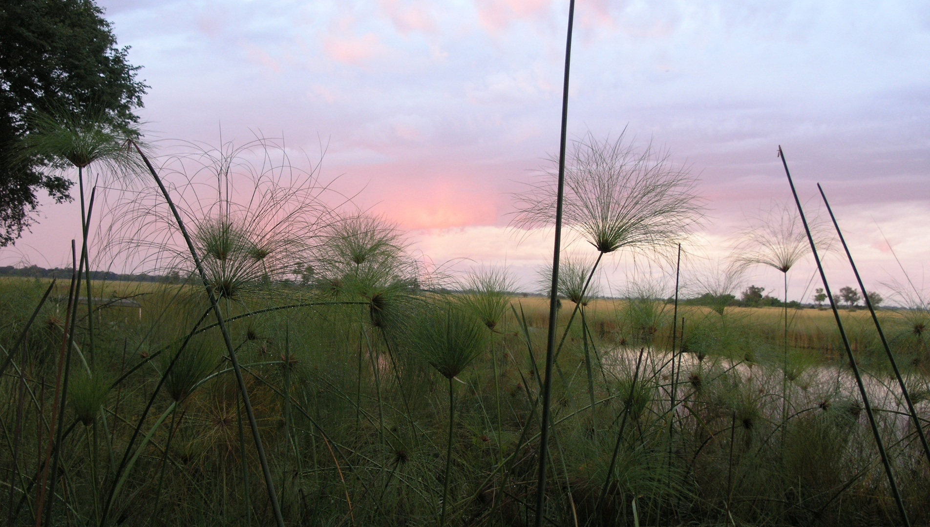 Abendstimmung im Okavangodelta