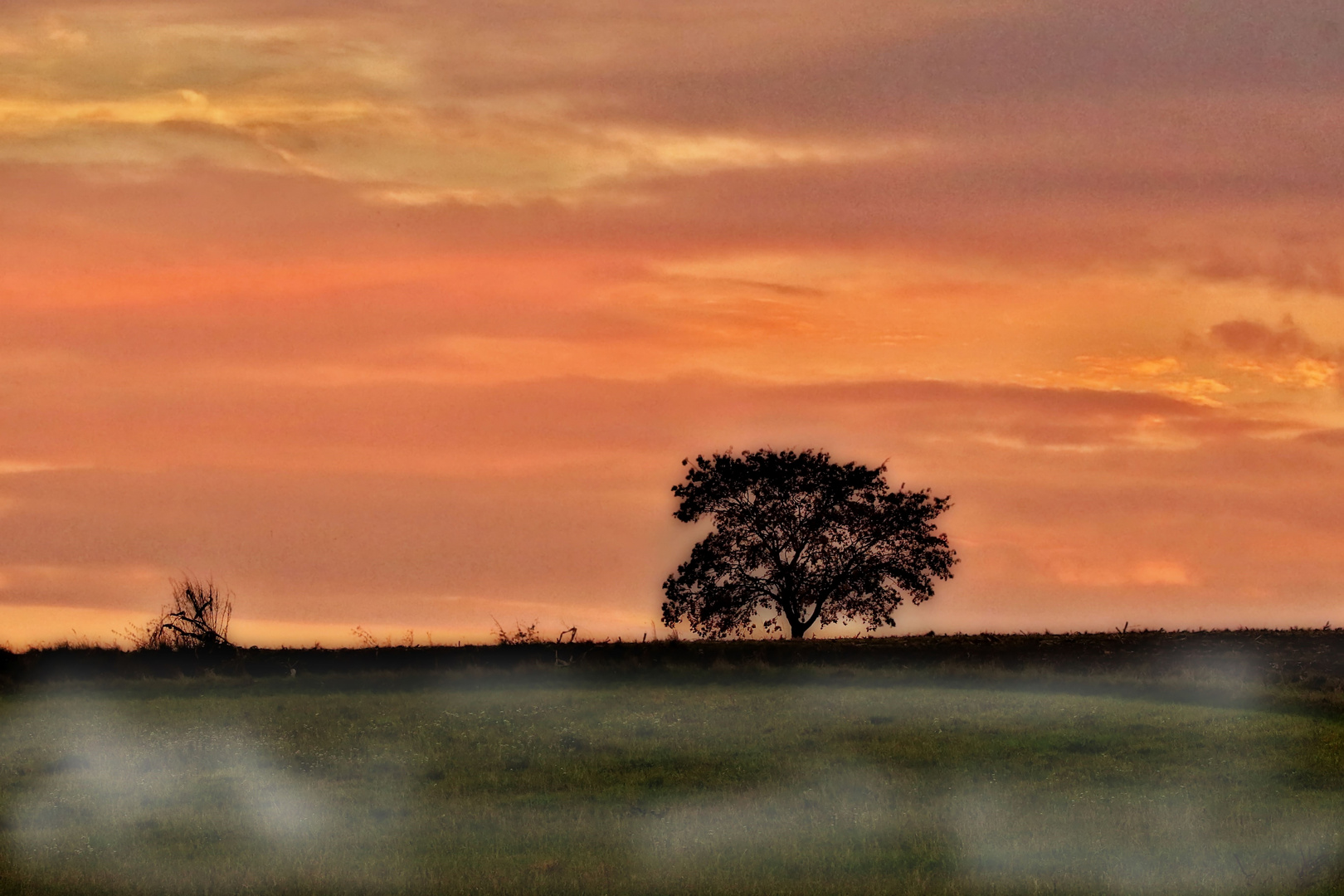 Abendstimmung im Oktober 2016