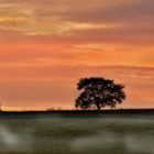 Abendstimmung im Oktober 2016