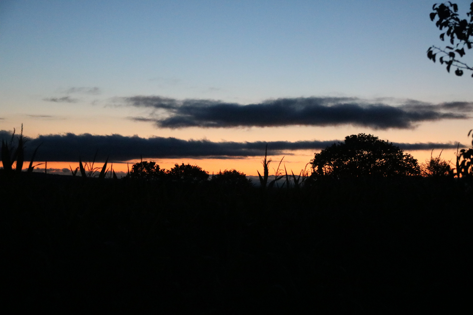 Abendstimmung im Oktober