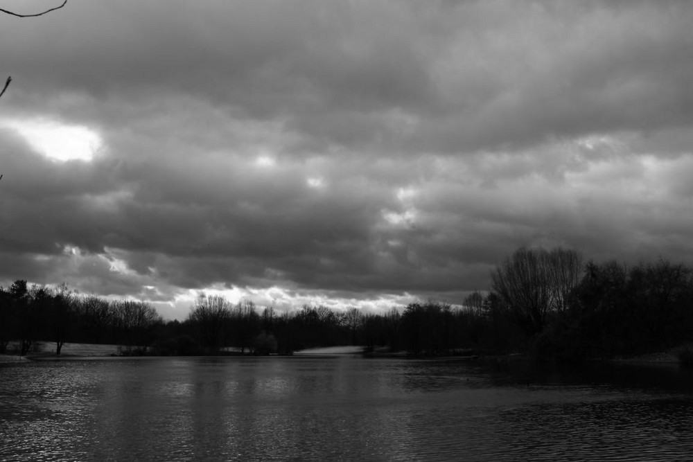 Abendstimmung im Park