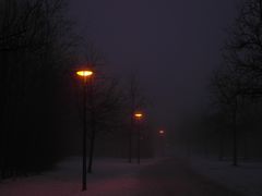 Abendstimmung im Park