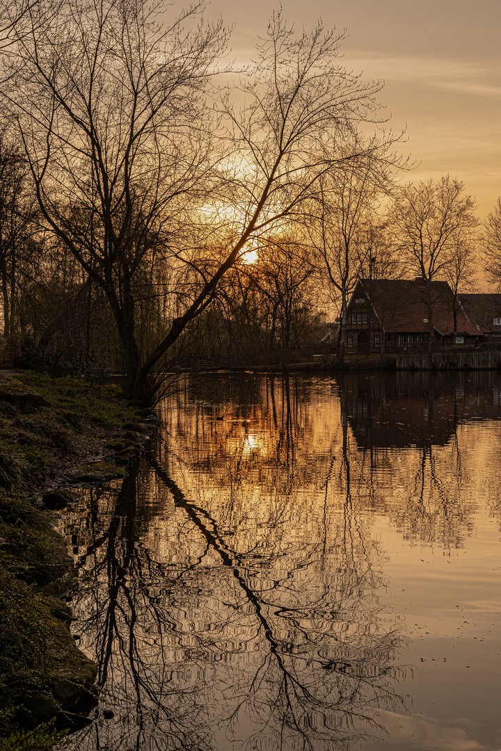 Abendstimmung im Park