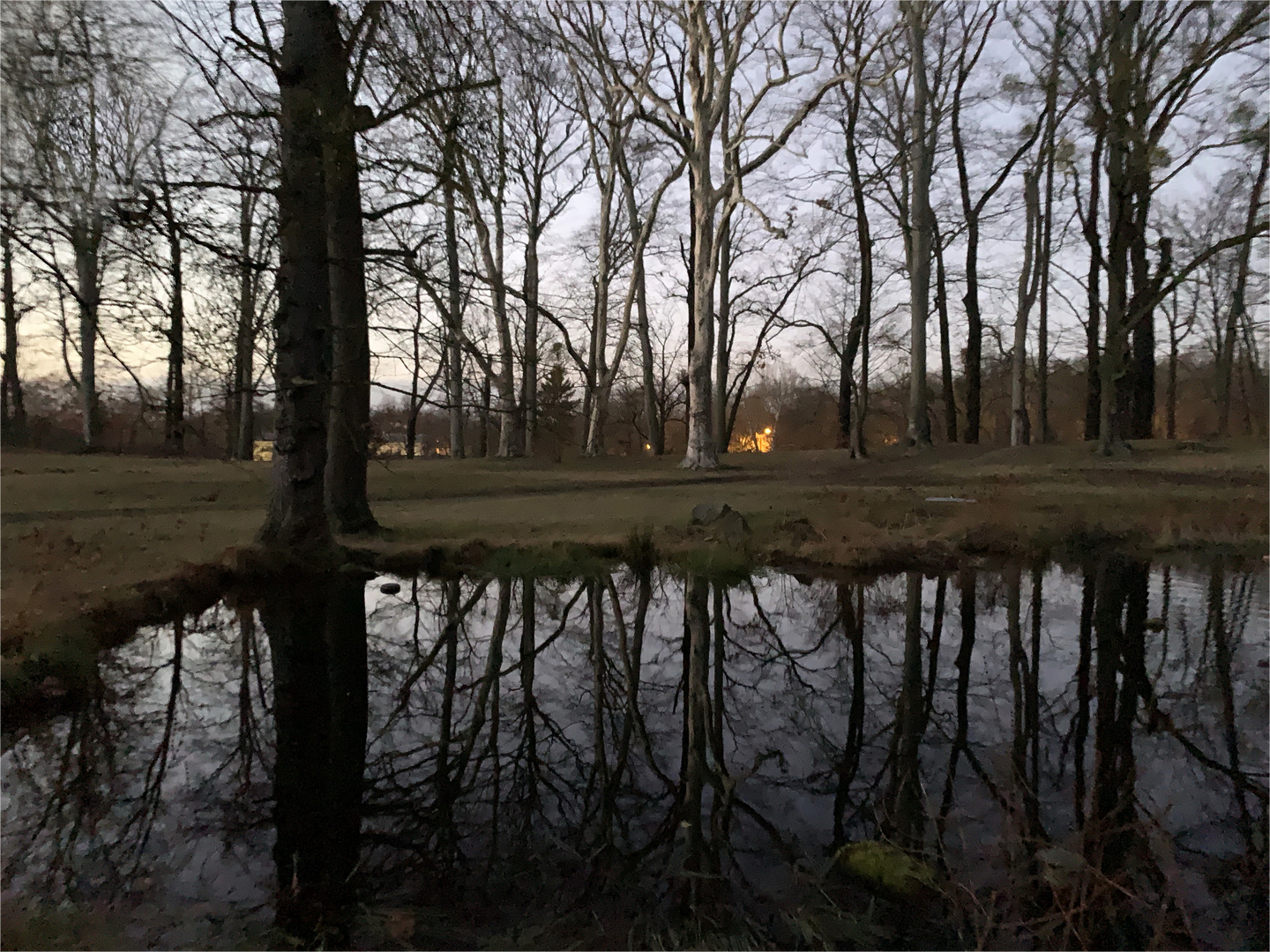 Abendstimmung im Park Schloss Albrechtsberg