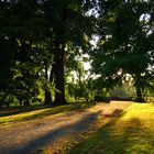 Abendstimmung im Park Schönfeld heute um19 Uhr