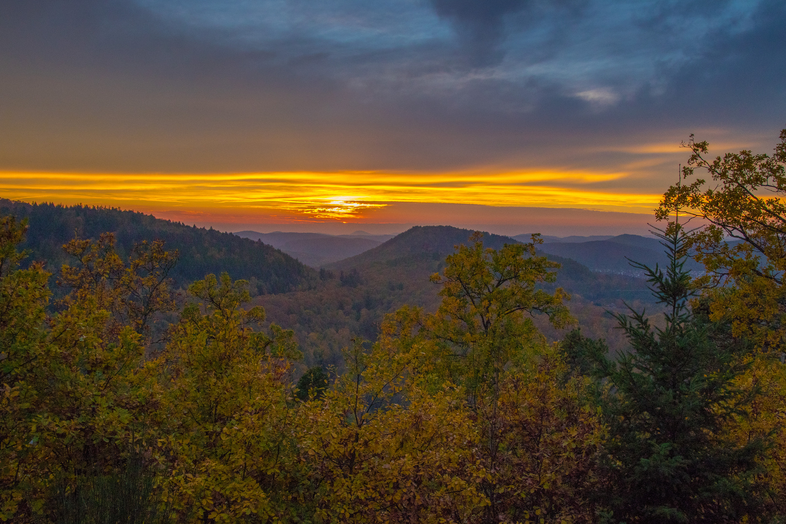 Abendstimmung im Pfälzer Wald