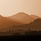 Abendstimmung im Pfälzerwald