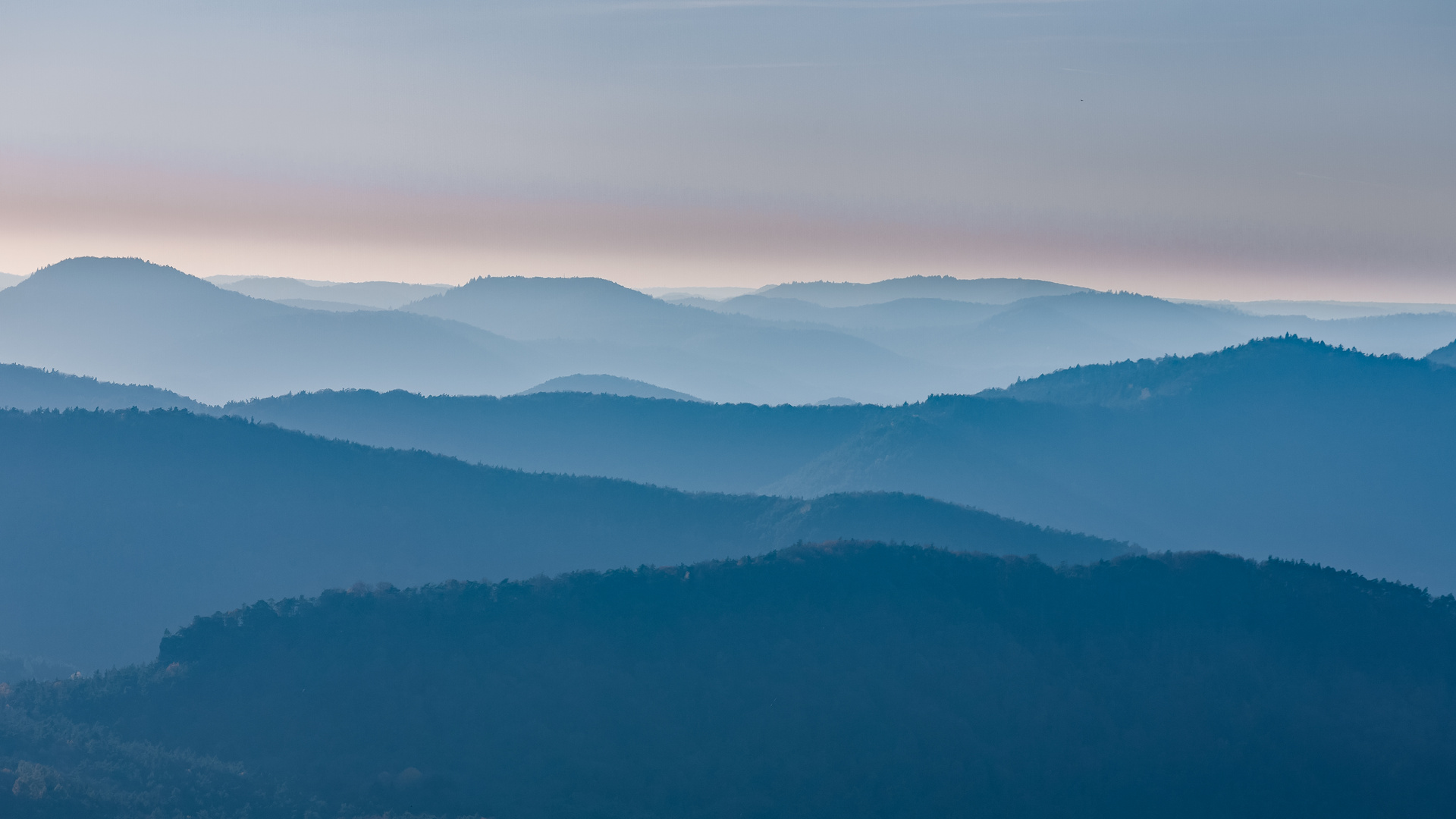 Abendstimmung im Pfälzerwald