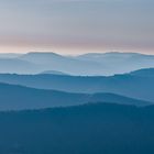 Abendstimmung im Pfälzerwald