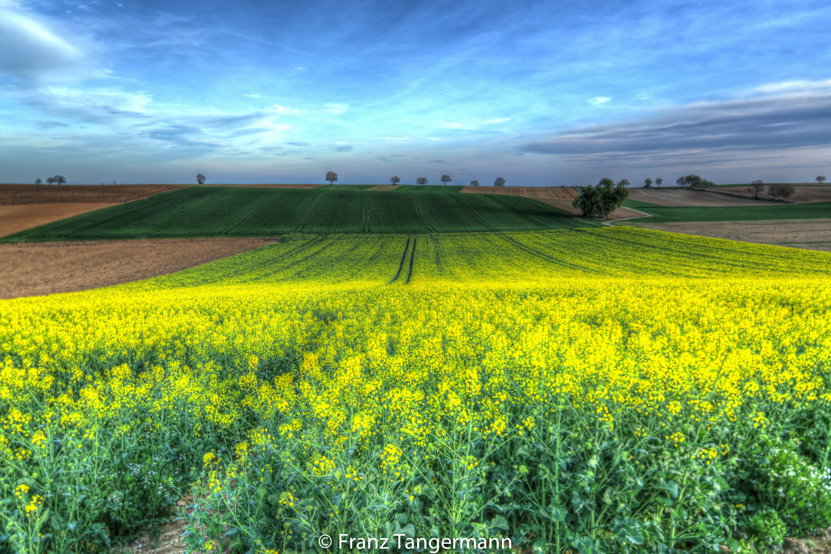 Abendstimmung im Rabsfeld