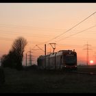 Abendstimmung im Rhein Neckar Raum