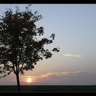 Abendstimmung im Rheingau