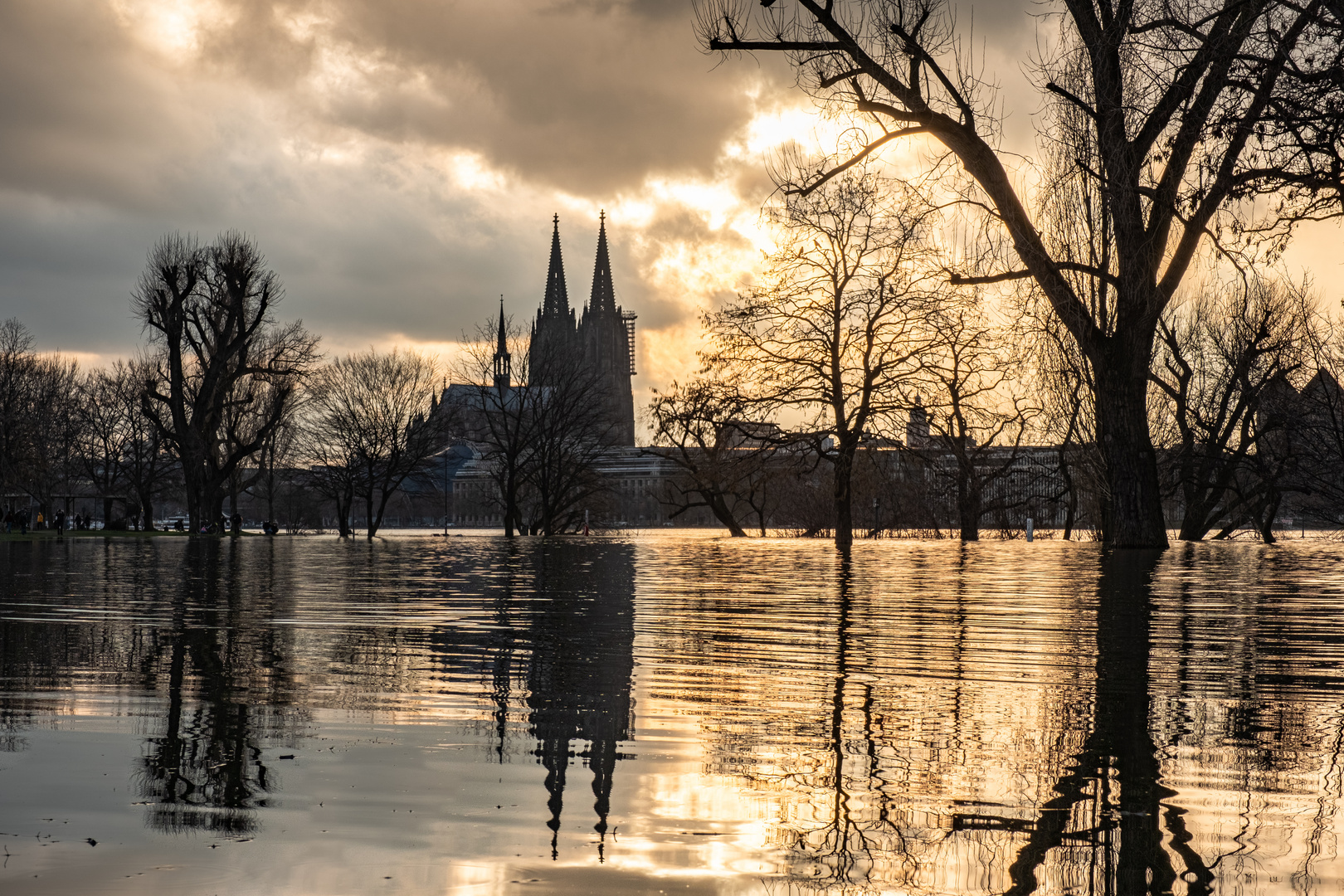 Abendstimmung im Rheinpark bei Hochwasser