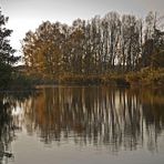 Abendstimmung im Rhinluch