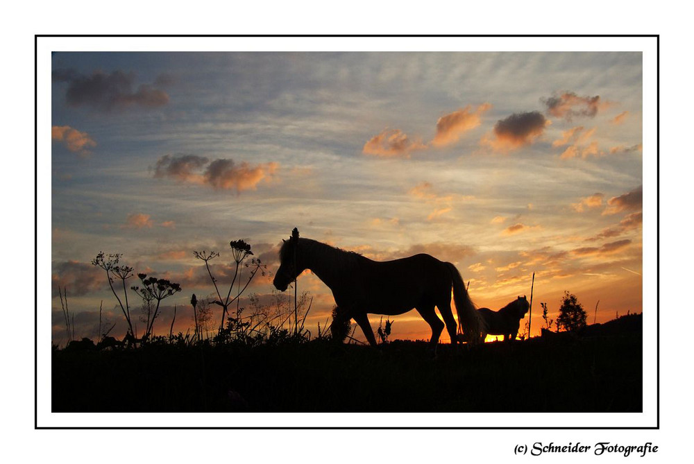 Abendstimmung im Sauerland