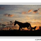 Abendstimmung im Sauerland