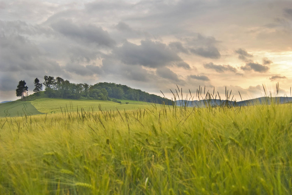 Abendstimmung im Sauerland