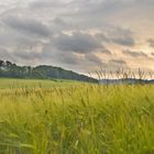 Abendstimmung im Sauerland