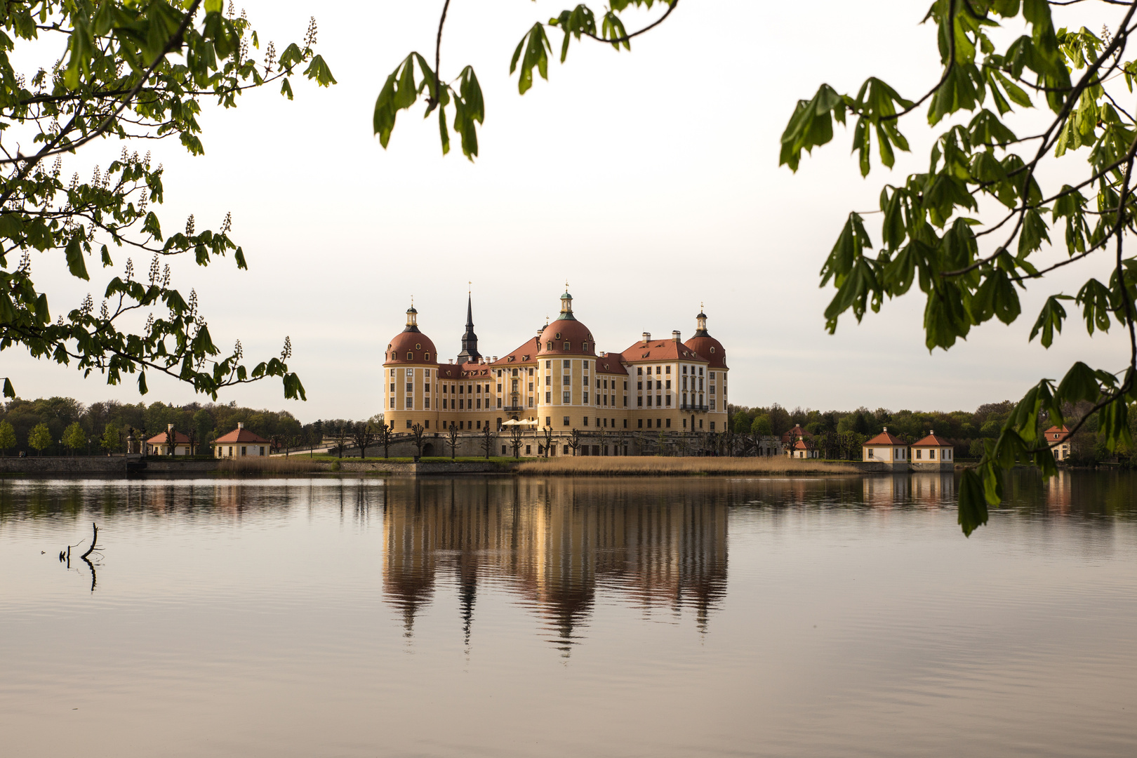 Abendstimmung im Schloss Moritzburg