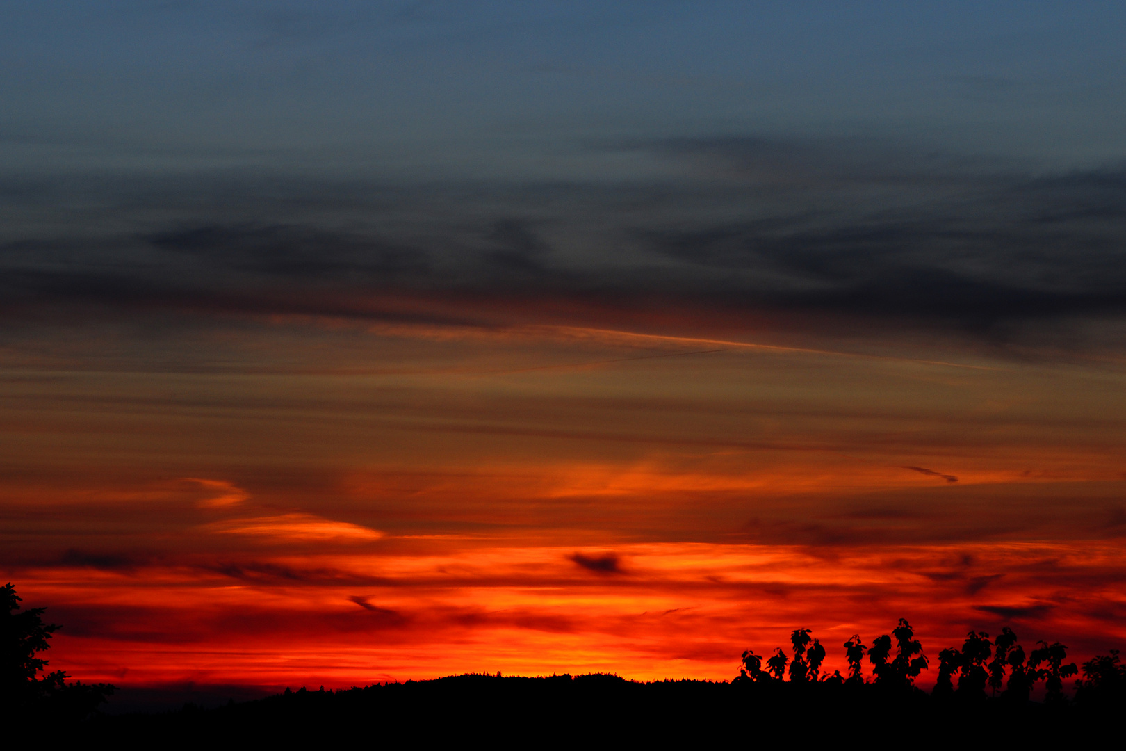 Abendstimmung im Schwäbischen Wald