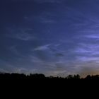 Abendstimmung im Schwarzwald