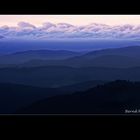 Abendstimmung im Schwarzwald