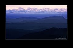 Abendstimmung im Schwarzwald