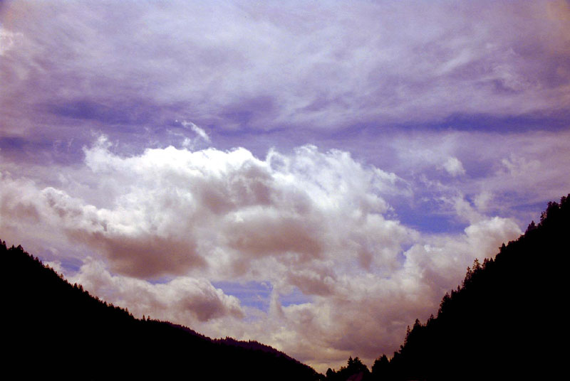 Abendstimmung im Schwarzwald