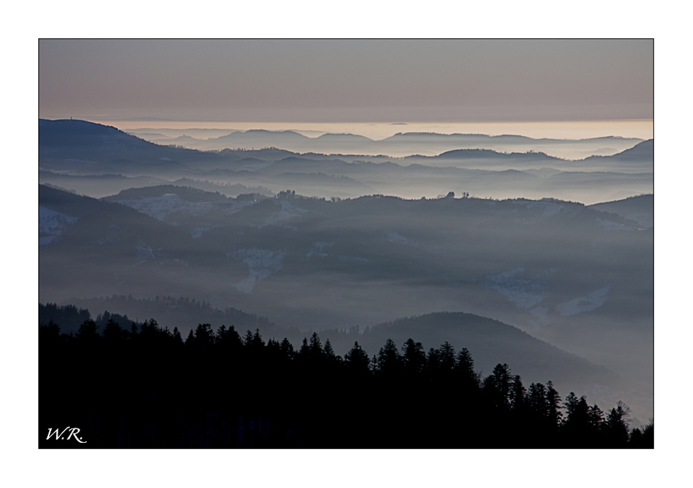 Abendstimmung im Schwarzwald.....