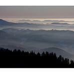 Abendstimmung im Schwarzwald.....